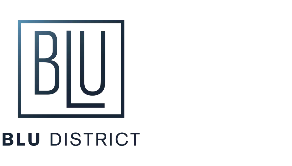 https://bluestein.digitalpartners.dev/wp-content/uploads/2025/01/blu-district-logo-wide-left.webp